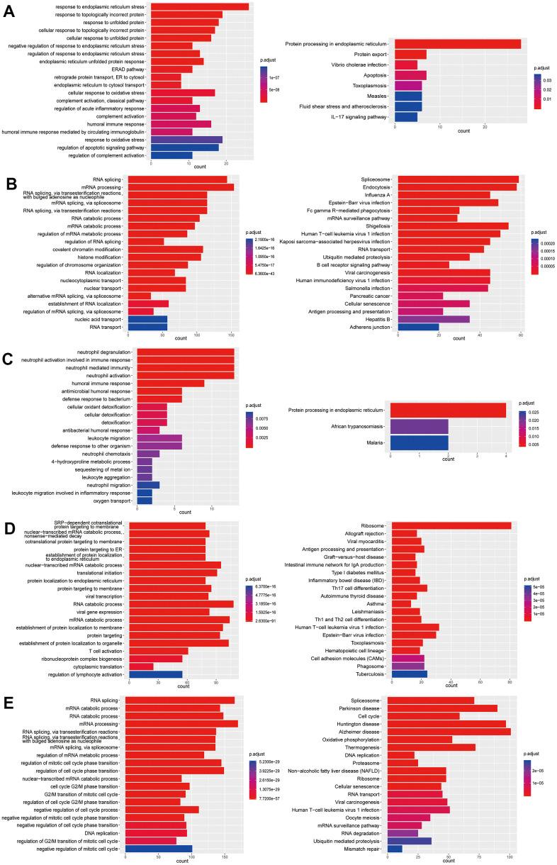 https://cdn.ncbi.nlm.nih.gov/pmc/blobs/6b03/8221309/a01199b7fe54/aging-13-203124-g007.jpg