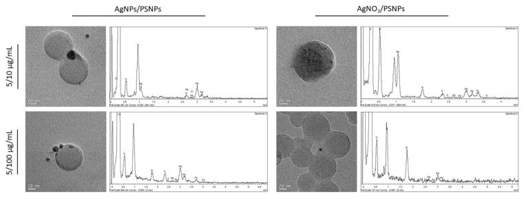 https://cdn.ncbi.nlm.nih.gov/pmc/blobs/6b03/8227673/3f3c787d49f3/biomolecules-11-00859-g003.jpg
