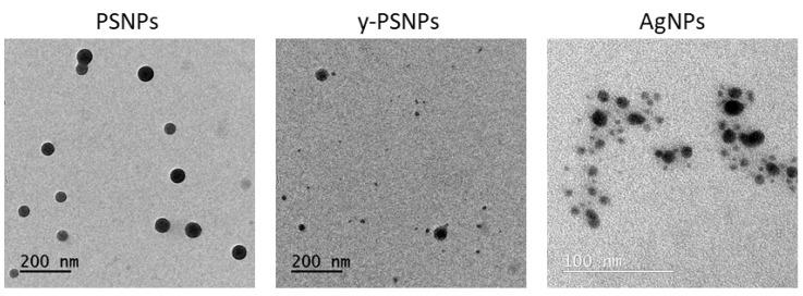 https://cdn.ncbi.nlm.nih.gov/pmc/blobs/6b03/8227673/6d353c3c14b7/biomolecules-11-00859-g001.jpg