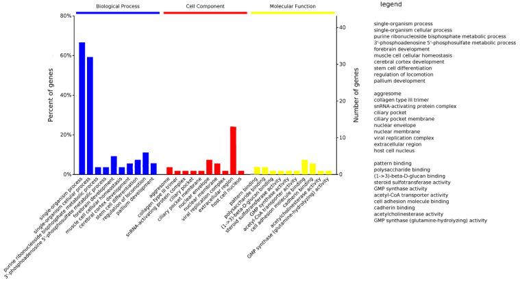 https://cdn.ncbi.nlm.nih.gov/pmc/blobs/6b06/9777694/7ce35f3bb585/genes-13-02310-g006.jpg