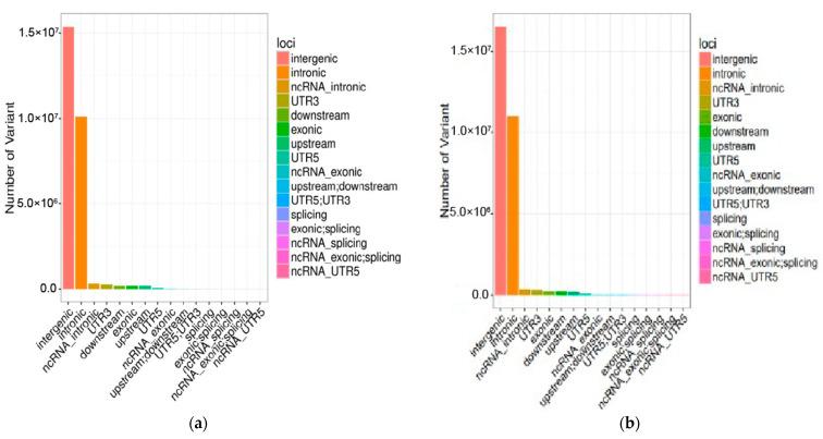 https://cdn.ncbi.nlm.nih.gov/pmc/blobs/6b06/9777694/b51f0e8b3f2c/genes-13-02310-g002.jpg