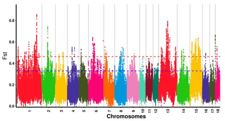 https://cdn.ncbi.nlm.nih.gov/pmc/blobs/6b06/9777694/bd56595da256/genes-13-02310-g003.jpg