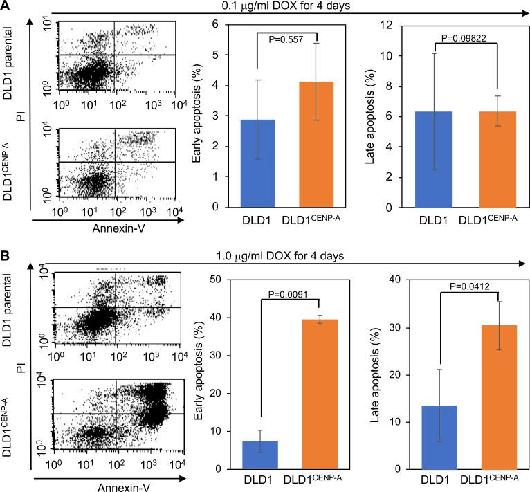 https://cdn.ncbi.nlm.nih.gov/pmc/blobs/6b07/7905998/9f1d544744a4/JCB_202007195_FigS6.jpg