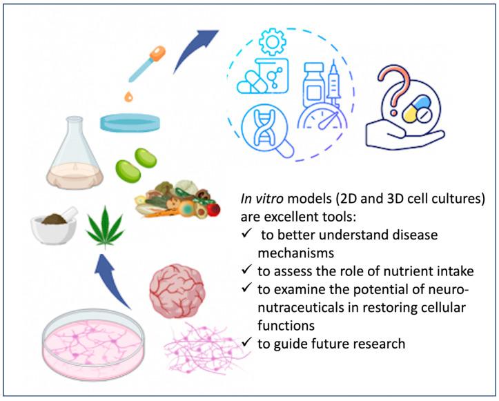 https://cdn.ncbi.nlm.nih.gov/pmc/blobs/6b0d/11435074/07472805752a/nutrients-16-03114-g003.jpg