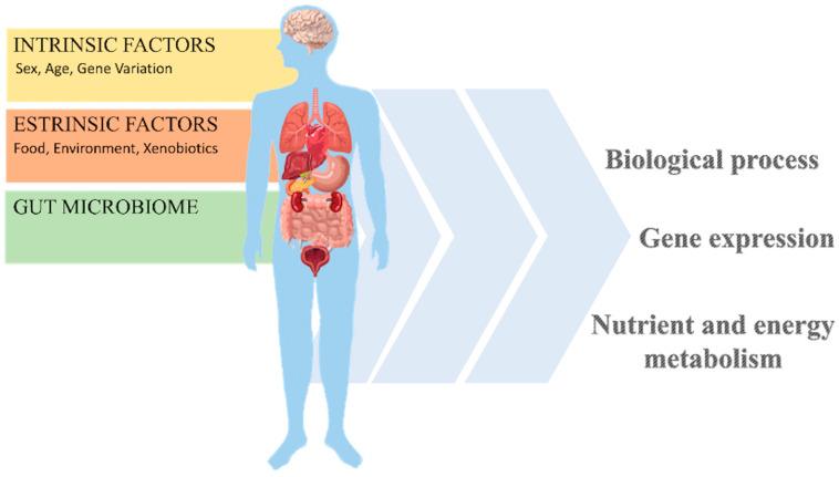 https://cdn.ncbi.nlm.nih.gov/pmc/blobs/6b0d/11435074/cdf905055cde/nutrients-16-03114-g002.jpg