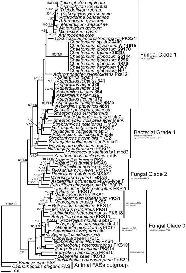 https://cdn.ncbi.nlm.nih.gov/pmc/blobs/6b0f/3226686/fff3bcfaf670/pone.0028231.g003.jpg