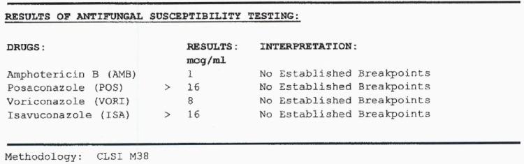 https://cdn.ncbi.nlm.nih.gov/pmc/blobs/6b0f/9579060/185c9ee8d257/cureus-0014-00000029303-i07.jpg