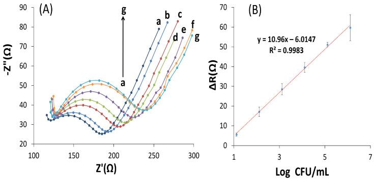https://cdn.ncbi.nlm.nih.gov/pmc/blobs/6b11/10296727/14a873de523c/biosensors-13-00619-g005.jpg