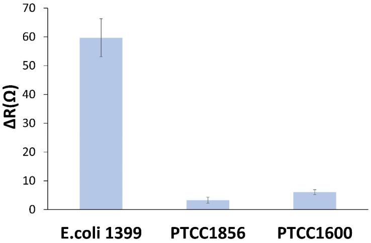 https://cdn.ncbi.nlm.nih.gov/pmc/blobs/6b11/10296727/be6dd89e0d41/biosensors-13-00619-g006.jpg