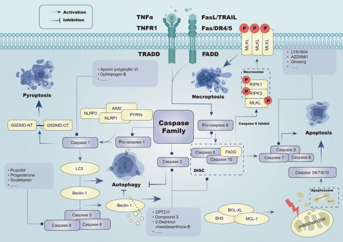 https://cdn.ncbi.nlm.nih.gov/pmc/blobs/6b11/12084487/42554cb2510a/12672_2025_2592_Fig1_HTML.jpg