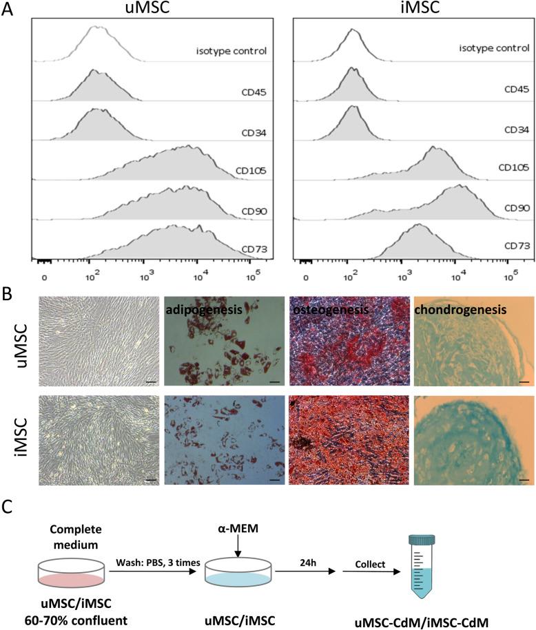 https://cdn.ncbi.nlm.nih.gov/pmc/blobs/6b11/8139053/4db2e85c3a29/13287_2021_2366_Fig1_HTML.jpg