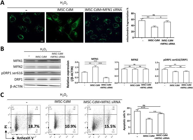 https://cdn.ncbi.nlm.nih.gov/pmc/blobs/6b11/8139053/641de5bcfe3b/13287_2021_2366_Fig6_HTML.jpg