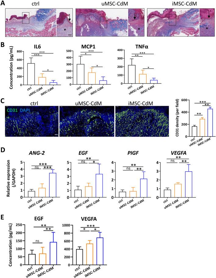 https://cdn.ncbi.nlm.nih.gov/pmc/blobs/6b11/8139053/66173b9ae11f/13287_2021_2366_Fig3_HTML.jpg