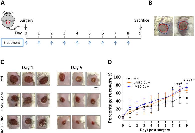 https://cdn.ncbi.nlm.nih.gov/pmc/blobs/6b11/8139053/7859318b4b15/13287_2021_2366_Fig2_HTML.jpg