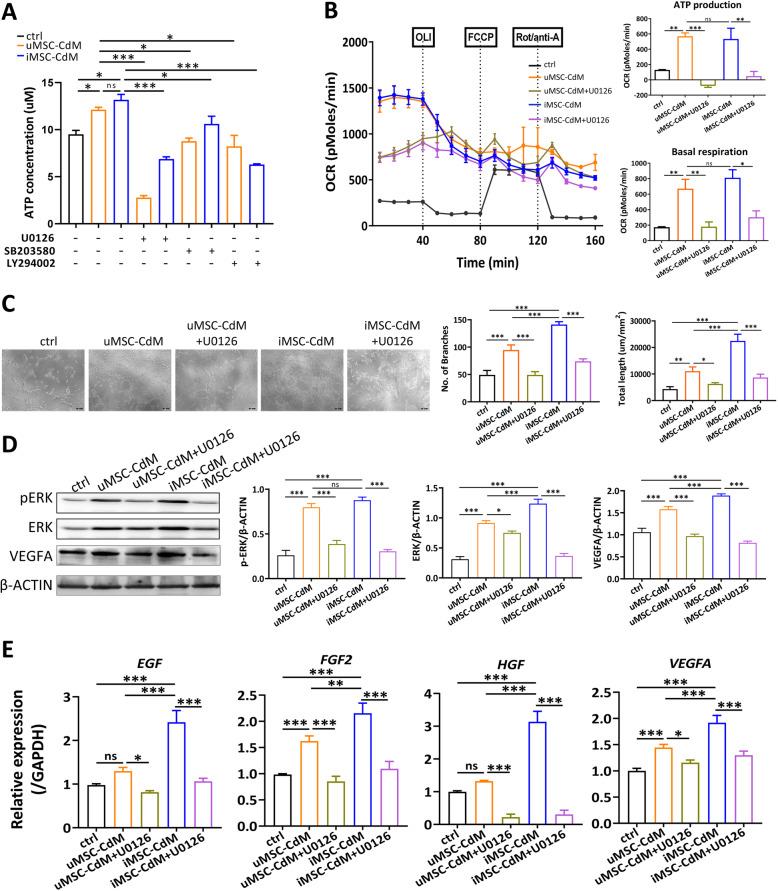 https://cdn.ncbi.nlm.nih.gov/pmc/blobs/6b11/8139053/c57f5763f947/13287_2021_2366_Fig5_HTML.jpg