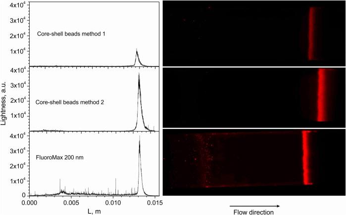 https://cdn.ncbi.nlm.nih.gov/pmc/blobs/6b12/10157089/cc54b74ecc33/fchem-11-1179247-g010.jpg
