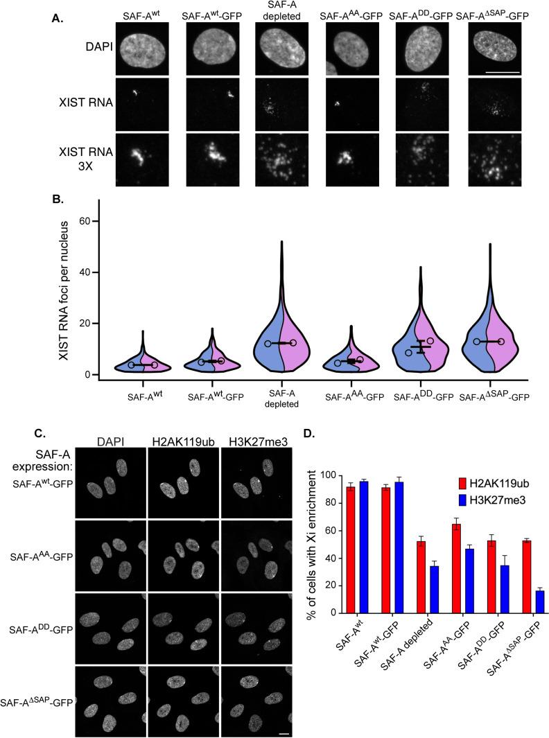 https://cdn.ncbi.nlm.nih.gov/pmc/blobs/6b12/12176297/043d5b3026bb/pgen.1011719.g002.jpg