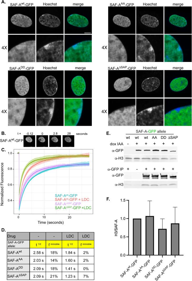 https://cdn.ncbi.nlm.nih.gov/pmc/blobs/6b12/12176297/21810a81823d/pgen.1011719.g003.jpg