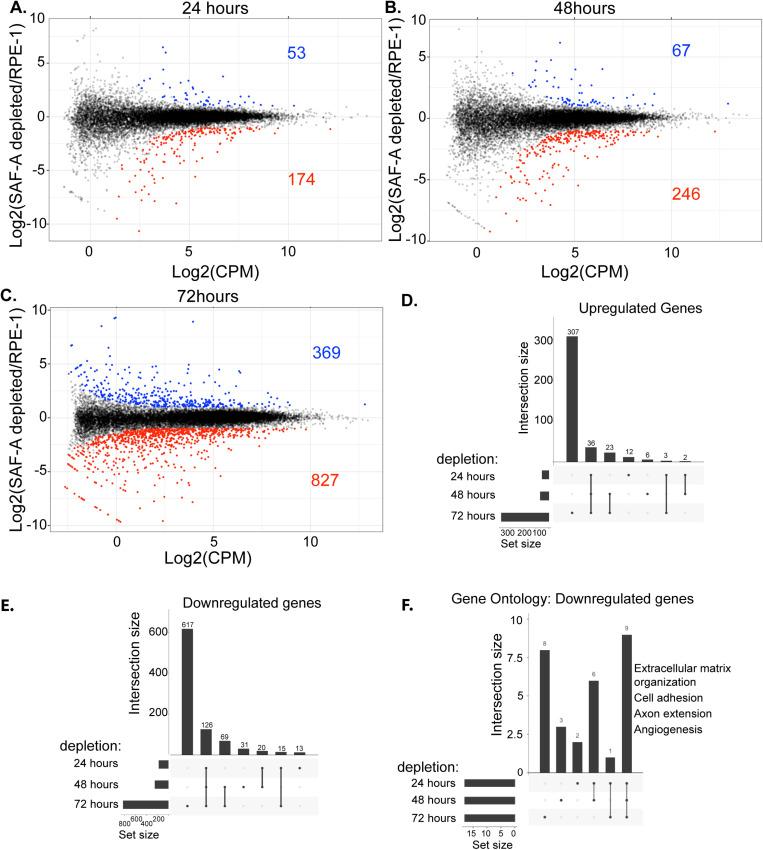 https://cdn.ncbi.nlm.nih.gov/pmc/blobs/6b12/12176297/3b9bfc7f549f/pgen.1011719.g005.jpg