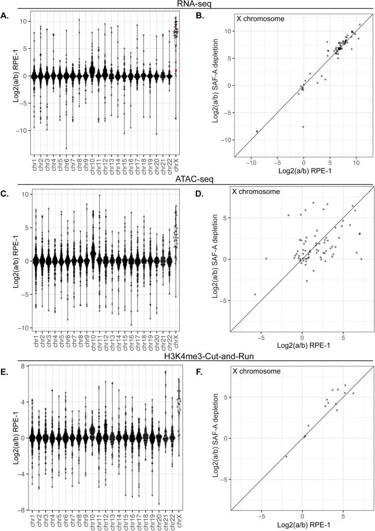 https://cdn.ncbi.nlm.nih.gov/pmc/blobs/6b12/12176297/d4ac437eb39e/pgen.1011719.g004.jpg