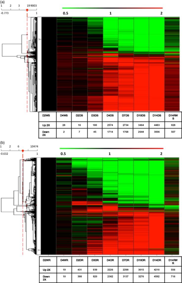 https://cdn.ncbi.nlm.nih.gov/pmc/blobs/6b12/4260174/809cf5d9fdf5/pce0037-2553-f3.jpg