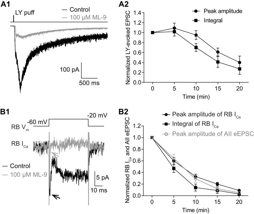 https://cdn.ncbi.nlm.nih.gov/pmc/blobs/6b12/7808332/538e730d9b92/SN-ENUJ200320F007.jpg