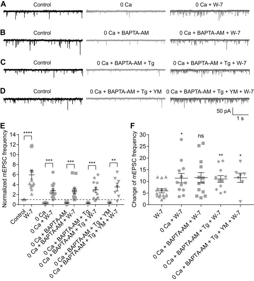 https://cdn.ncbi.nlm.nih.gov/pmc/blobs/6b12/7808332/6a25e9b98fc0/SN-ENUJ200320F005.jpg