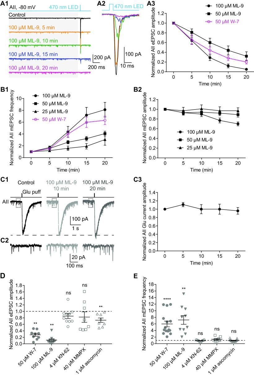 https://cdn.ncbi.nlm.nih.gov/pmc/blobs/6b12/7808332/98026af29d2e/SN-ENUJ200320F006.jpg