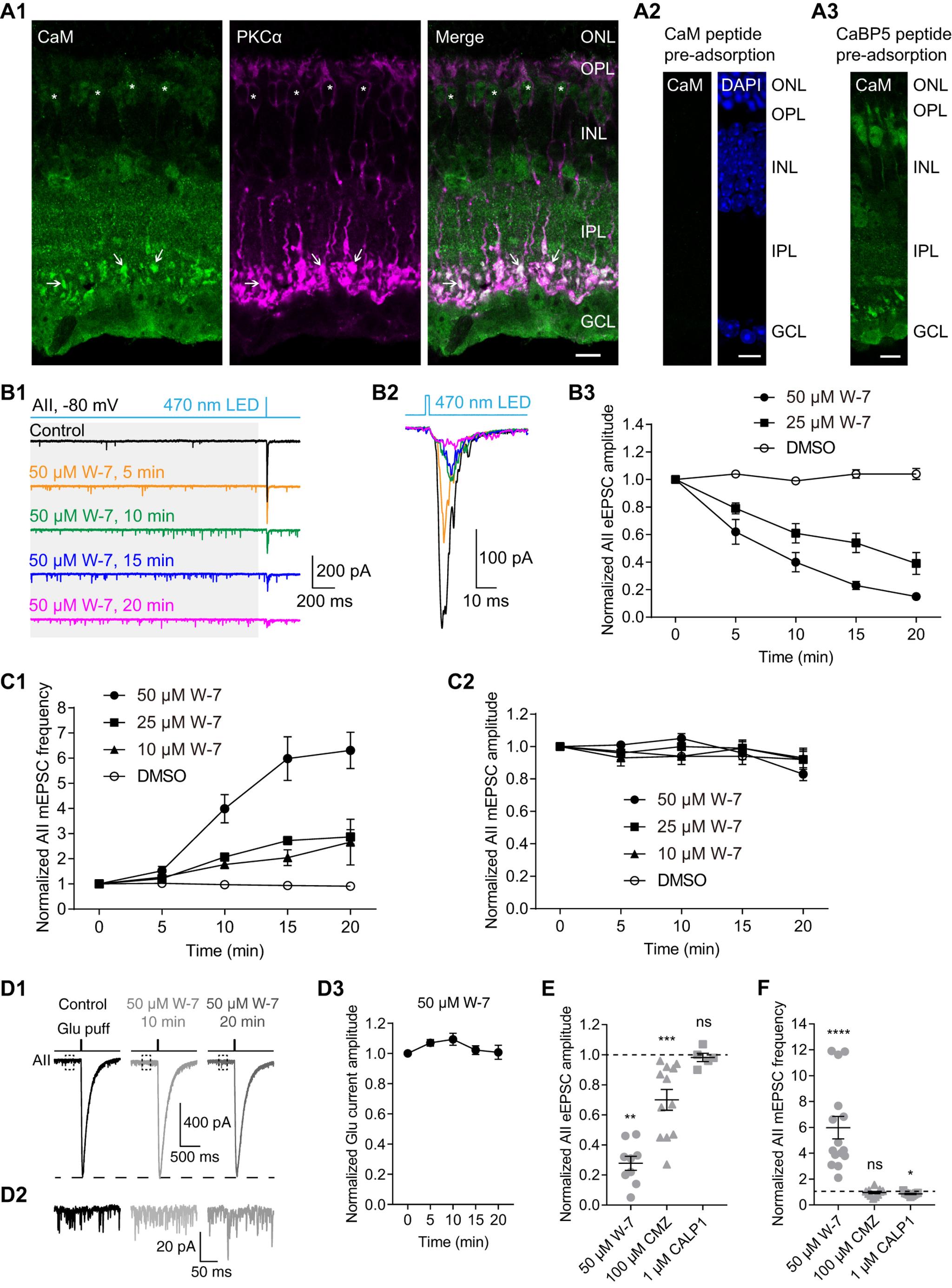 https://cdn.ncbi.nlm.nih.gov/pmc/blobs/6b12/7808332/efd6cd96fa76/SN-ENUJ200320F002.jpg
