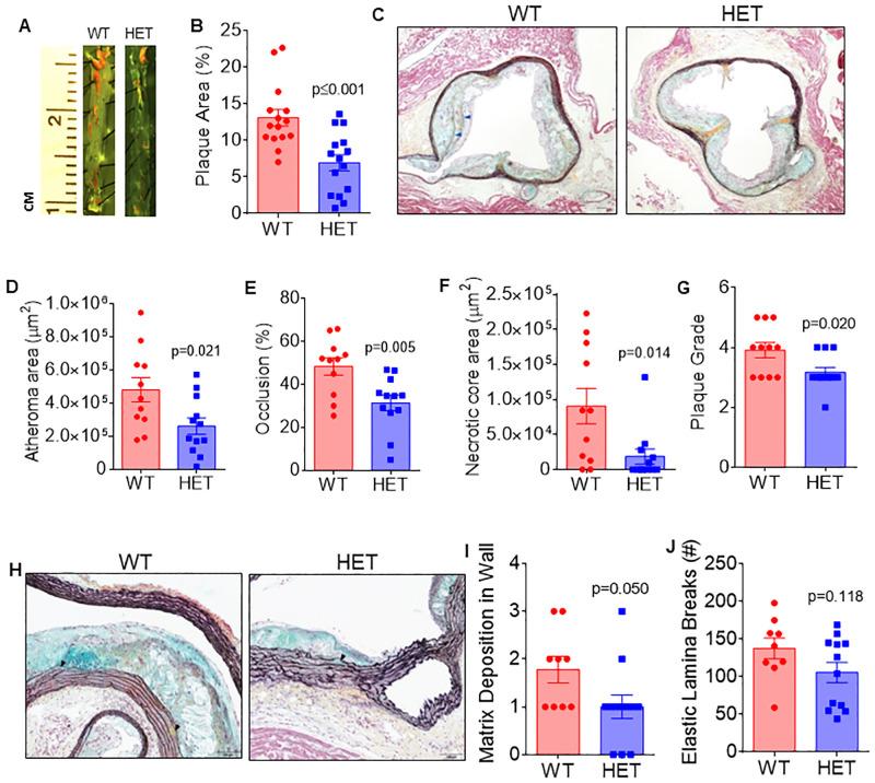 https://cdn.ncbi.nlm.nih.gov/pmc/blobs/6b13/10171652/074741415a9f/pone.0285253.g002.jpg