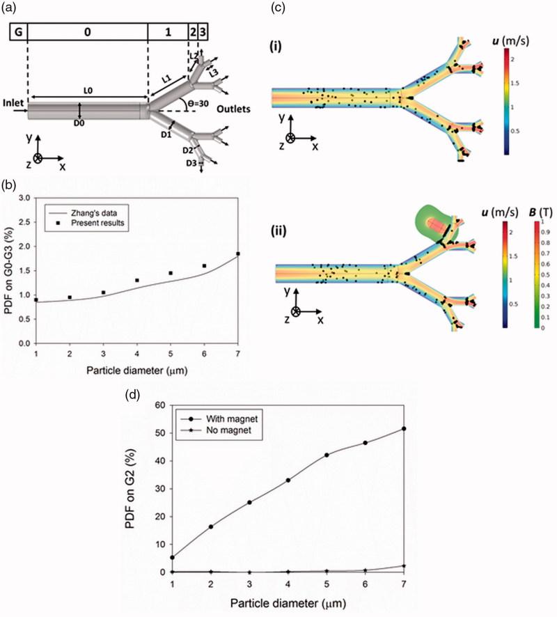 https://cdn.ncbi.nlm.nih.gov/pmc/blobs/6b13/6394297/a3dff8036c36/IDRD_A_1561765_F0001_C.jpg