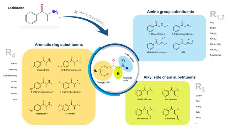 https://cdn.ncbi.nlm.nih.gov/pmc/blobs/6b13/7997216/1419541fa5b5/metabolites-11-00144-g001.jpg