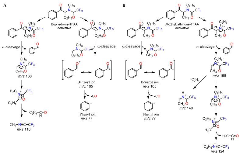 https://cdn.ncbi.nlm.nih.gov/pmc/blobs/6b13/7997216/ae4a046db6ae/metabolites-11-00144-g006.jpg