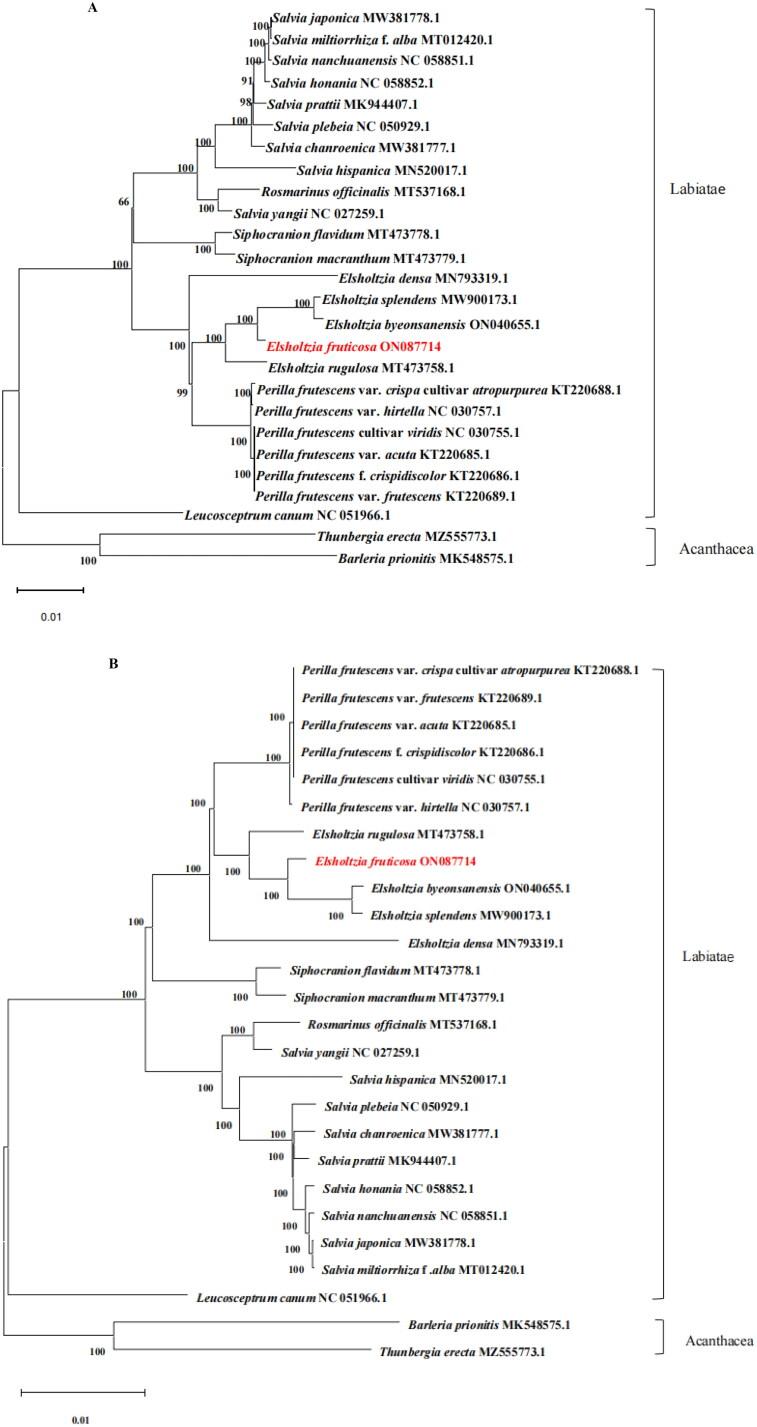 https://cdn.ncbi.nlm.nih.gov/pmc/blobs/6b13/9980026/66e5824ef662/TMDN_A_2183069_F0003_C.jpg