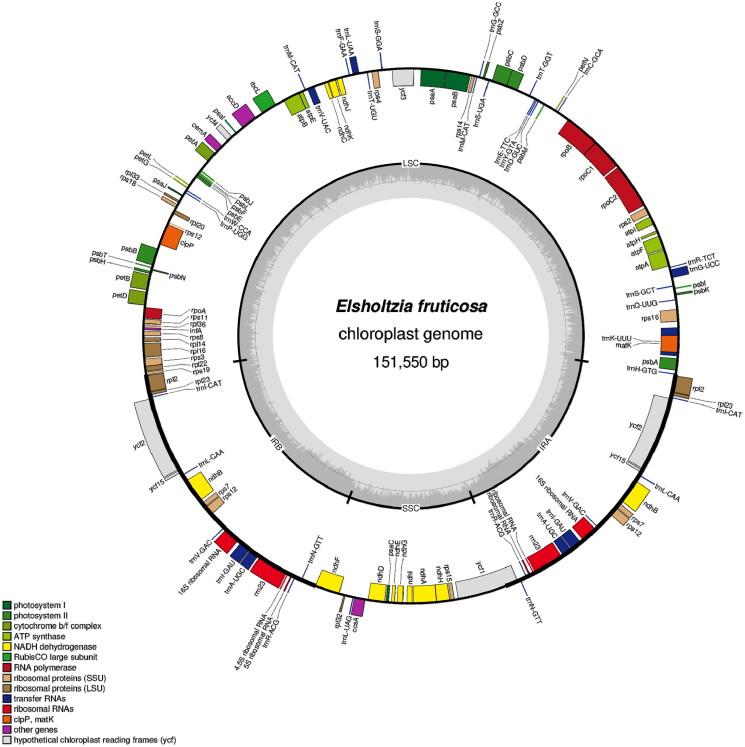 https://cdn.ncbi.nlm.nih.gov/pmc/blobs/6b13/9980026/b68bef2773d0/TMDN_A_2183069_F0002_C.jpg