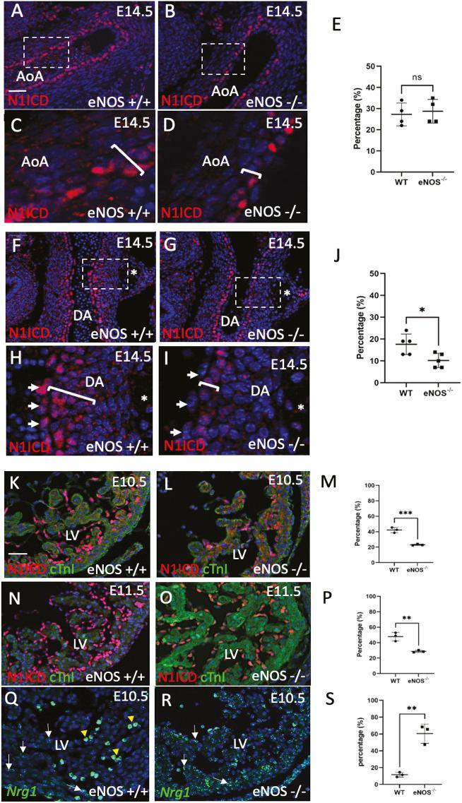 https://cdn.ncbi.nlm.nih.gov/pmc/blobs/6b14/10846539/62d36b744420/dmm-17-050265-g8.jpg