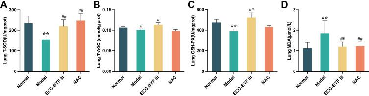 https://cdn.ncbi.nlm.nih.gov/pmc/blobs/6b16/11352541/8c7bce80b6cf/COPD-19-1905-g0004.jpg