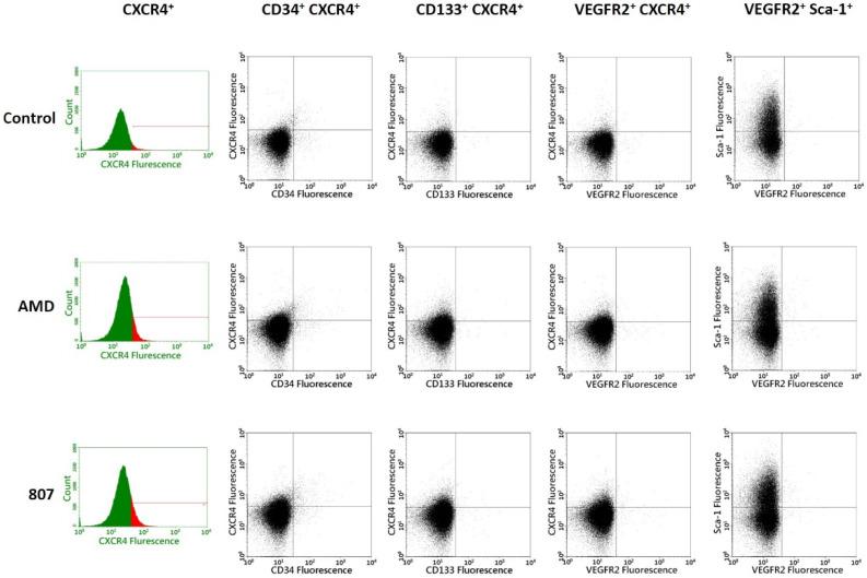 https://cdn.ncbi.nlm.nih.gov/pmc/blobs/6b16/9570210/1ab5ce2faa64/ijms-23-11730-g0A2.jpg