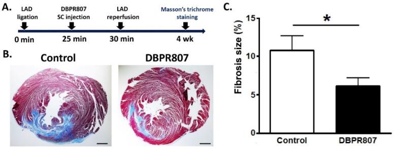 https://cdn.ncbi.nlm.nih.gov/pmc/blobs/6b16/9570210/41e5a79ac697/ijms-23-11730-g004.jpg