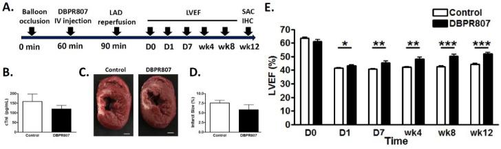 https://cdn.ncbi.nlm.nih.gov/pmc/blobs/6b16/9570210/b83e5ecc4033/ijms-23-11730-g005.jpg