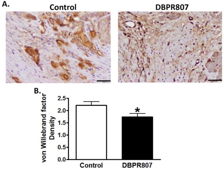 https://cdn.ncbi.nlm.nih.gov/pmc/blobs/6b16/9570210/ee53b5517710/ijms-23-11730-g007.jpg