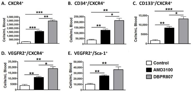 https://cdn.ncbi.nlm.nih.gov/pmc/blobs/6b16/9570210/ef58d9397332/ijms-23-11730-g002.jpg