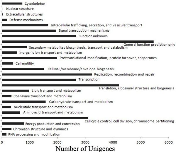 https://cdn.ncbi.nlm.nih.gov/pmc/blobs/6b18/3689618/9566851f289a/1471-2164-14-389-2.jpg