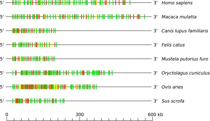 https://cdn.ncbi.nlm.nih.gov/pmc/blobs/6b1b/7216736/74a31a064802/fimmu-11-00821-g0004.jpg