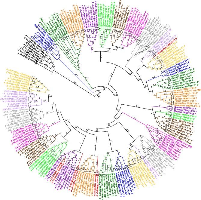 https://cdn.ncbi.nlm.nih.gov/pmc/blobs/6b1b/7216736/8da600776987/fimmu-11-00821-g0002.jpg