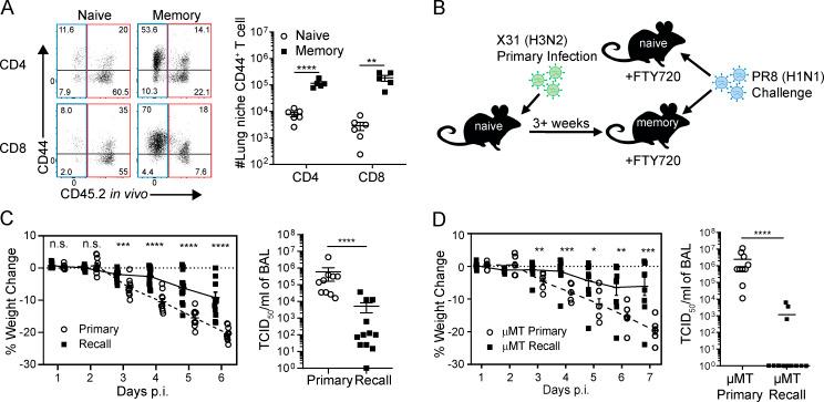 https://cdn.ncbi.nlm.nih.gov/pmc/blobs/6b1d/7534905/25808532501c/JEM_20200218_Fig1.jpg