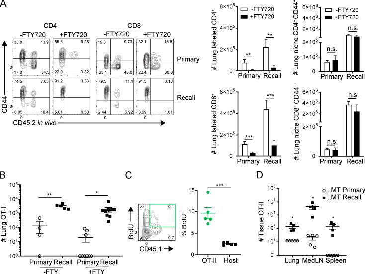 https://cdn.ncbi.nlm.nih.gov/pmc/blobs/6b1d/7534905/3590fc624a46/JEM_20200218_FigS2.jpg
