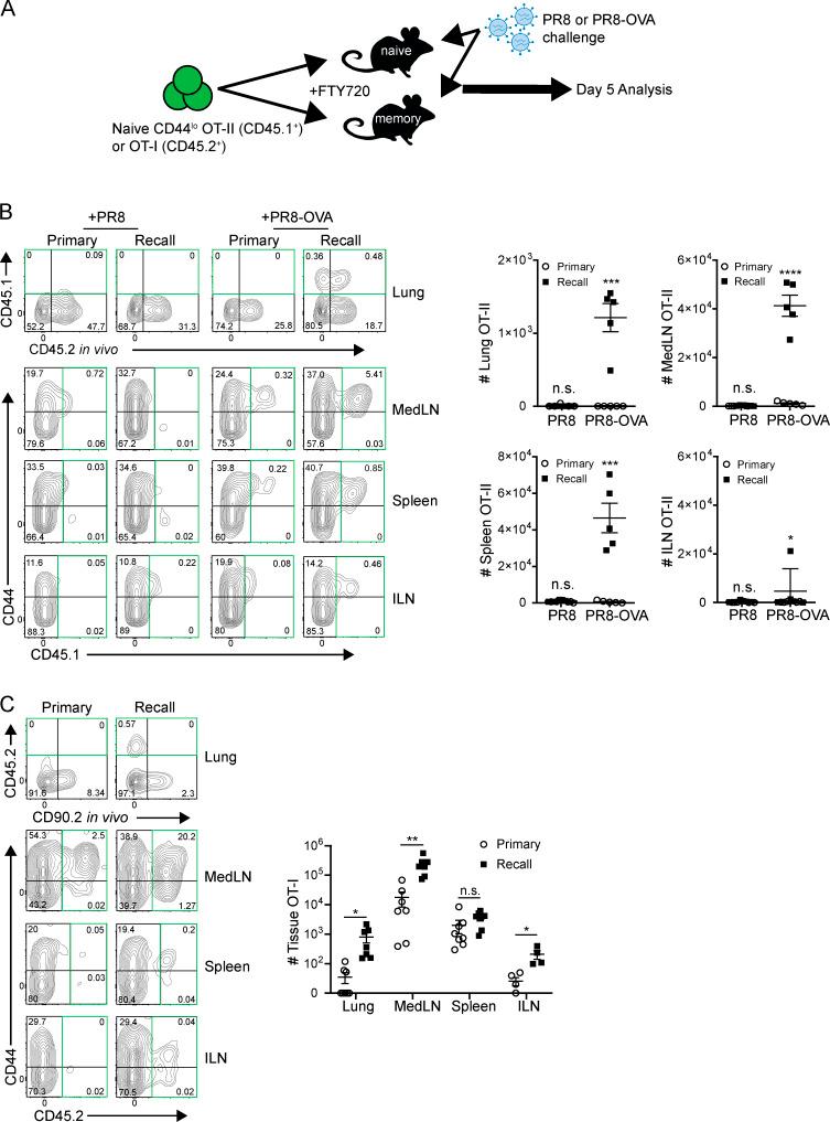 https://cdn.ncbi.nlm.nih.gov/pmc/blobs/6b1d/7534905/6d48a7ba2b27/JEM_20200218_Fig4.jpg