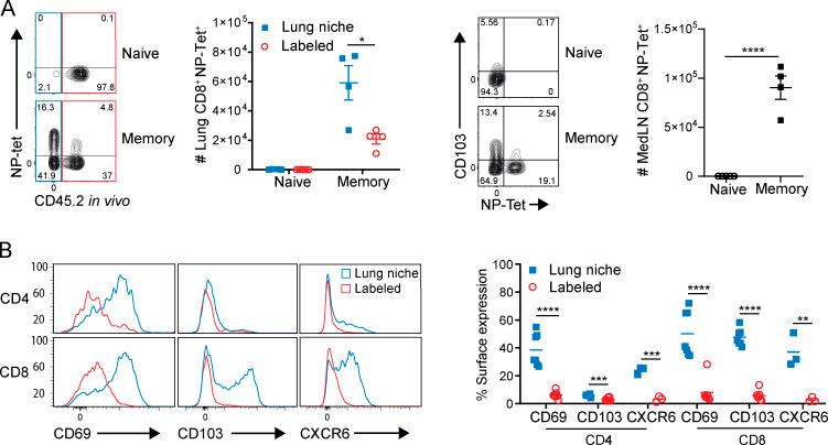 https://cdn.ncbi.nlm.nih.gov/pmc/blobs/6b1d/7534905/809c9cee2382/JEM_20200218_FigS1.jpg