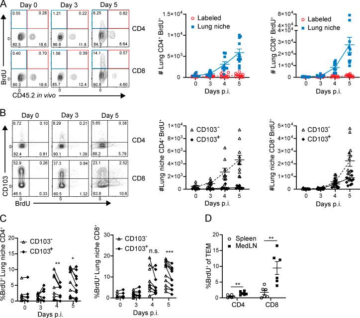 https://cdn.ncbi.nlm.nih.gov/pmc/blobs/6b1d/7534905/869ff7631cb1/JEM_20200218_Fig3.jpg